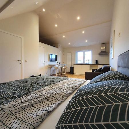 Wemmel Brussels North - Pajot Apartments מראה חיצוני תמונה